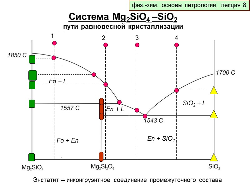 физ.-хим. основы петрологии, лекция 8 Система Mg2SiO4 –SiO2 пути равновесной кристаллизации Энстатит – инконгруэнтное